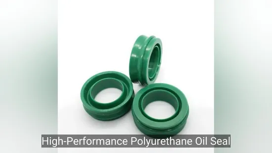 High Performance EU Type Piston Rod Sealing Dustproof Ring